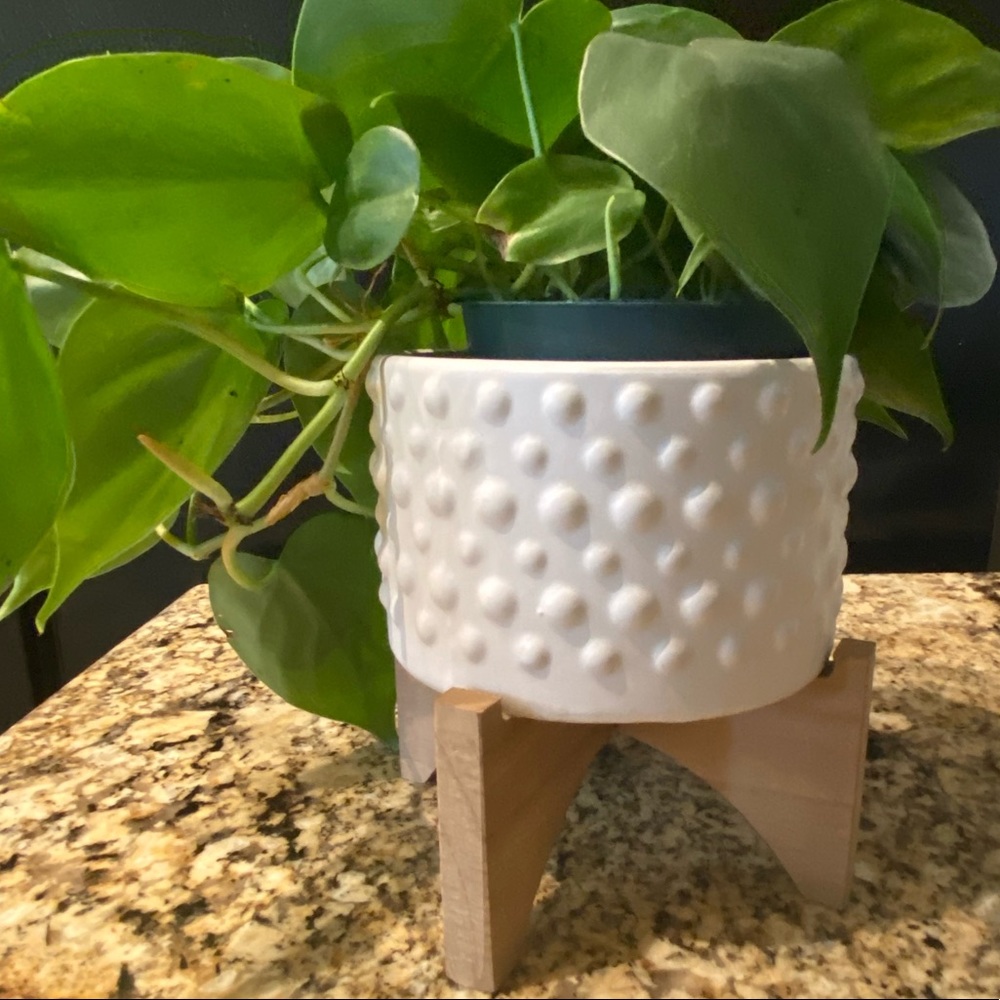 Flora Bunda Plant Pot